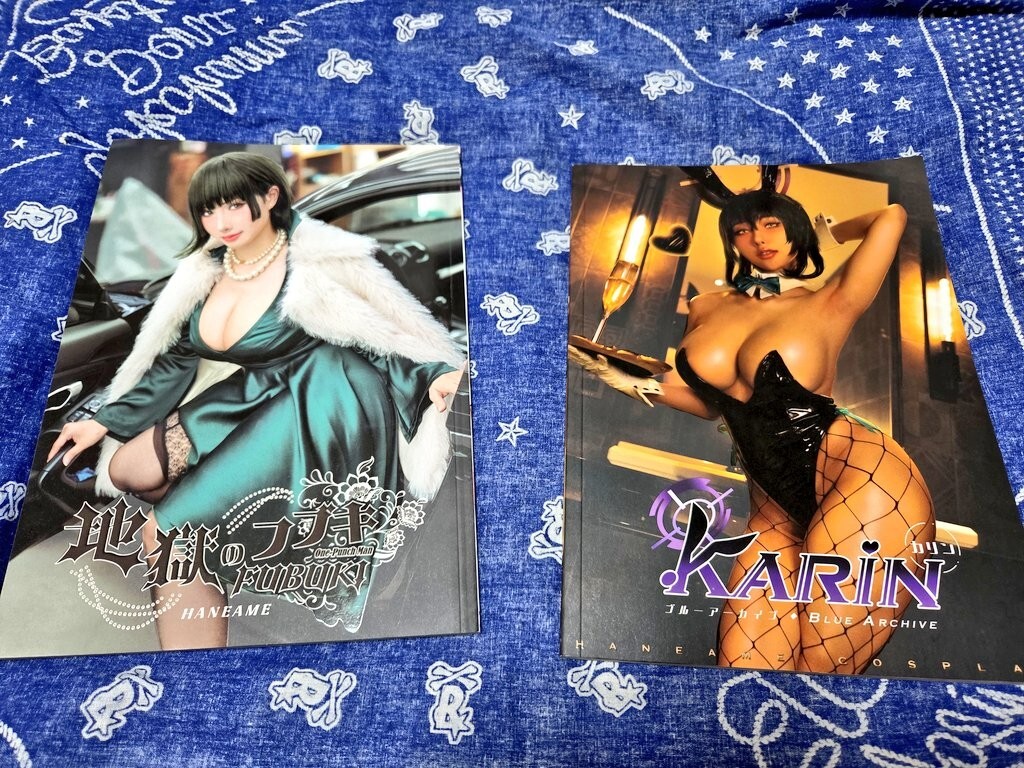 C95 コミケ95　あんちょびうさぎ【宇都宮つみれ】　B2タペストリー 2025年最新Yahoo!オークション -あんちょびうさぎ タペストリーの