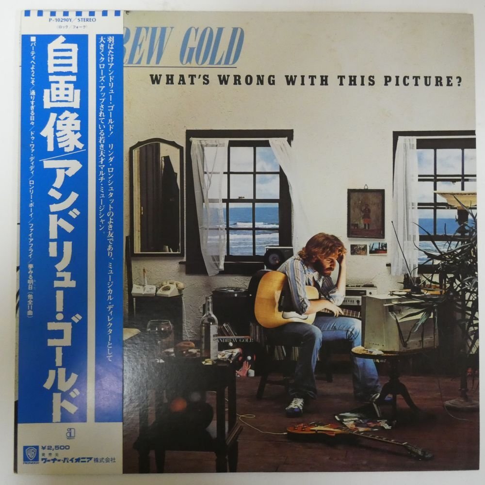 【やや傷や汚れあり】48094652;【帯付】Andrew Gold / What's Wrong With This Picture? 自画 ...