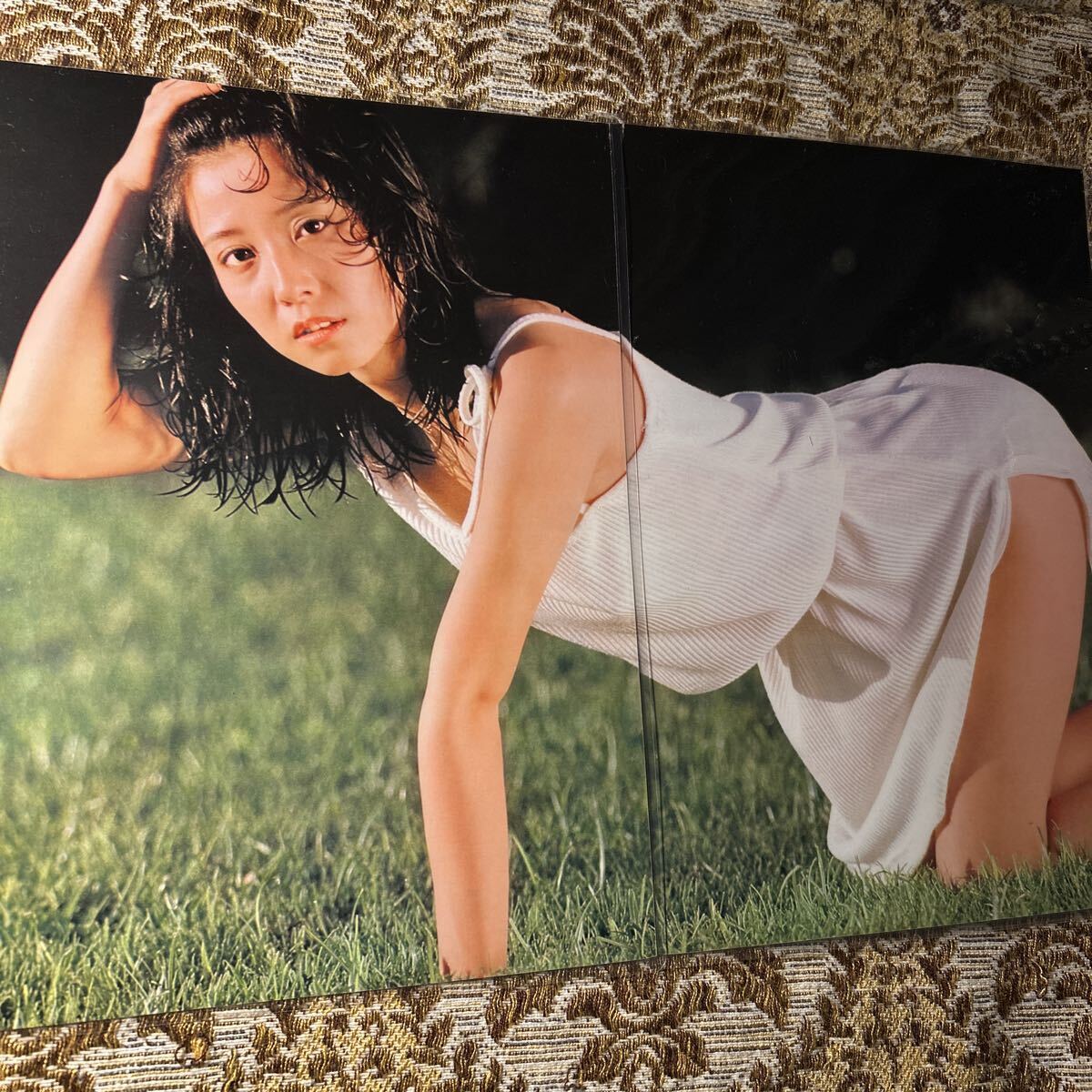 南野陽子 ポスター 日本赤十字社 献血 1988年 B2サイズ 80年代アイドル
