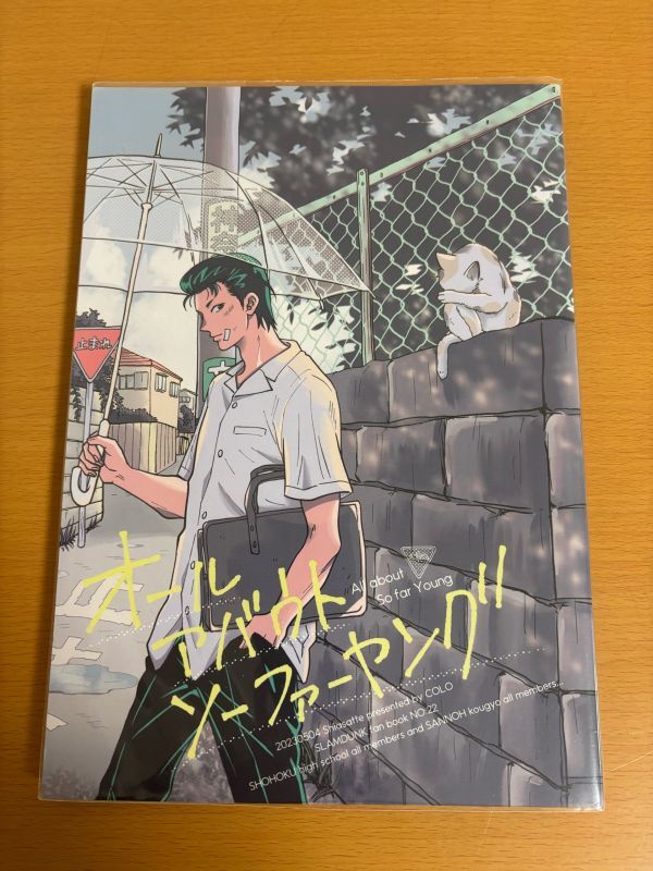 中古】◇スラムダンク 桜木軍団 水戸洋平 セル画 レア アップ◇の落札