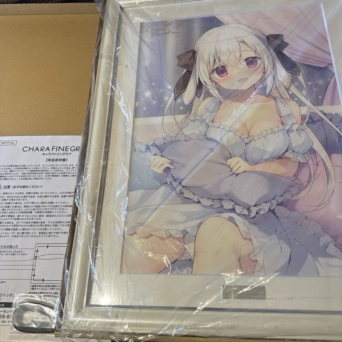 新品】リゼロ A4 キャラファイングラフ レム ラム 複製原画の落札情報