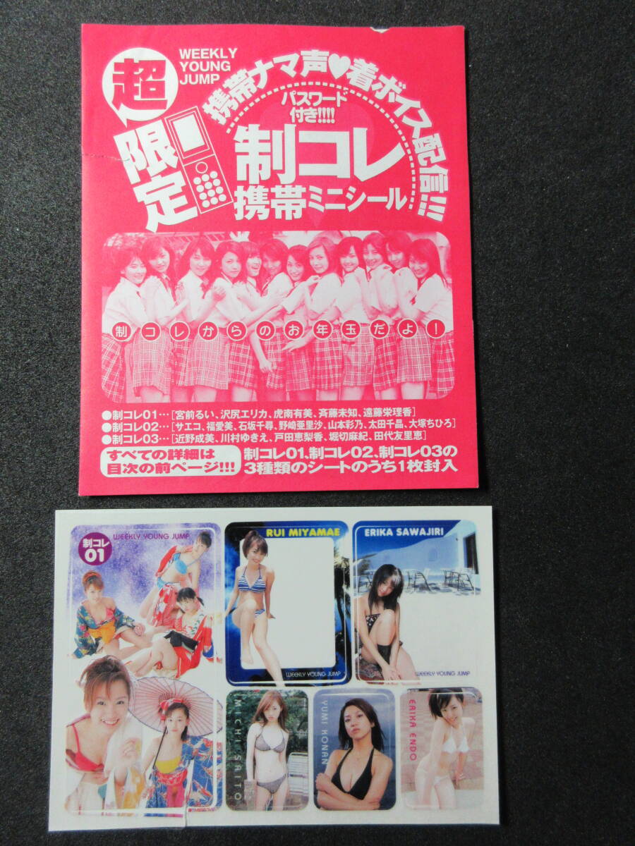 新垣結衣さん 切り抜き 週刊ヤングジャンプ2004年46特大号から 表紙1枚