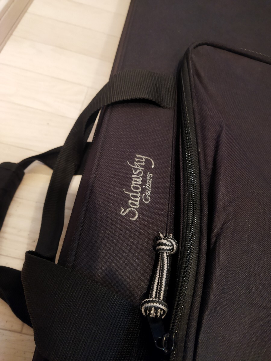 目立った傷や汚れなし】背負える sadowsky セミハードケース