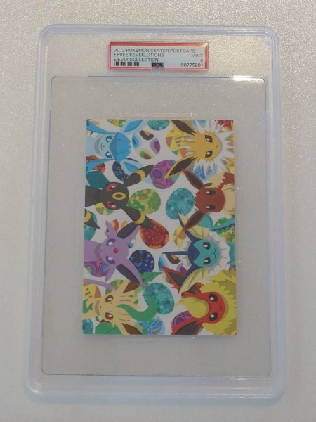 ポケモンカードファンクラブ 夏休みスペシャルポストカード トロピカル