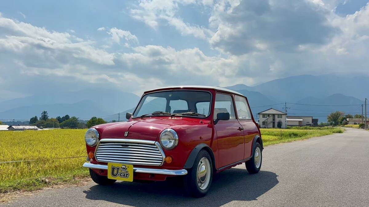 MINI専用ブラインド ｜Rover カラー選べます 暑さ対策 高速有鉛