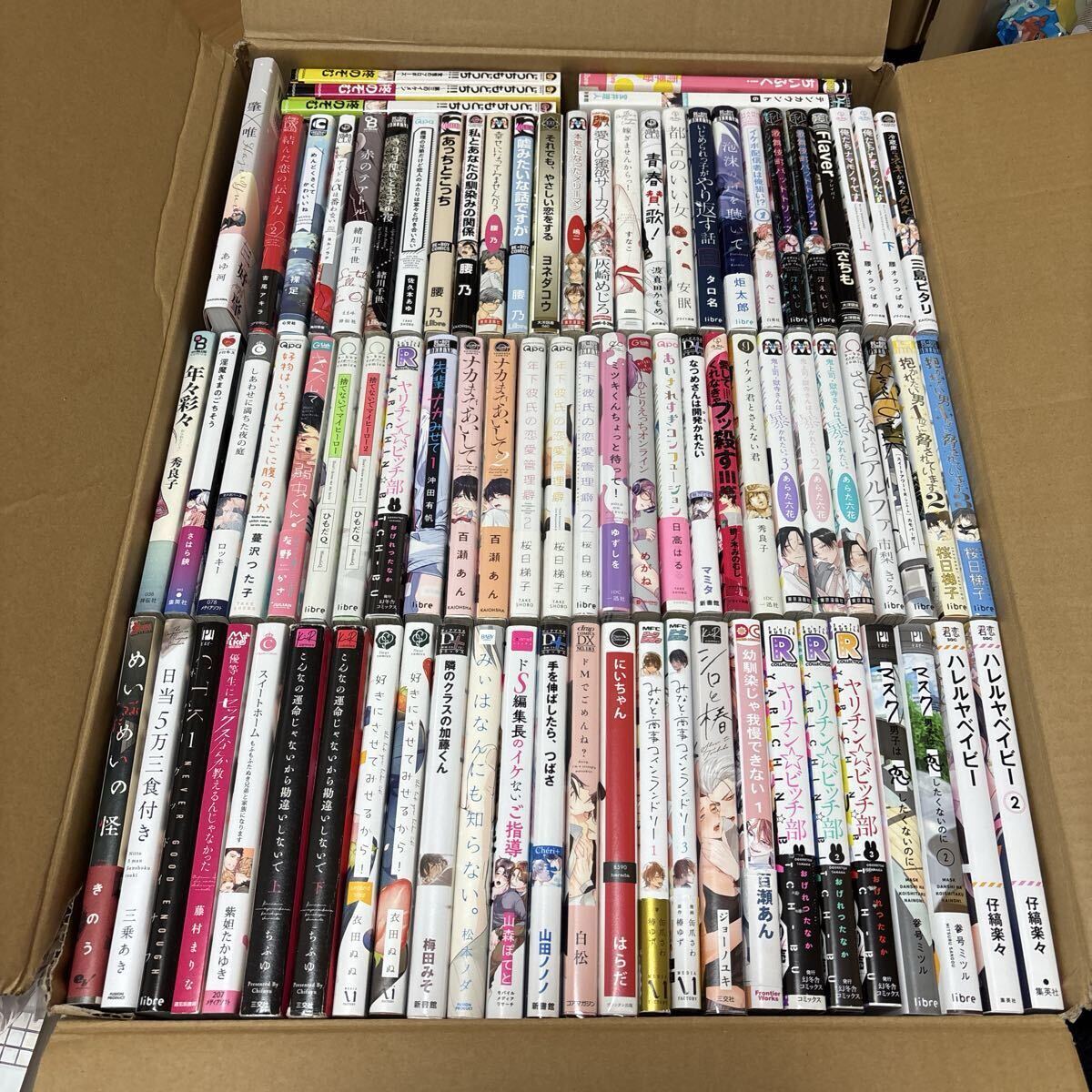 ☆BL本15冊セット・ボーイズラブ・やおい・漫画・コミック・商業BL