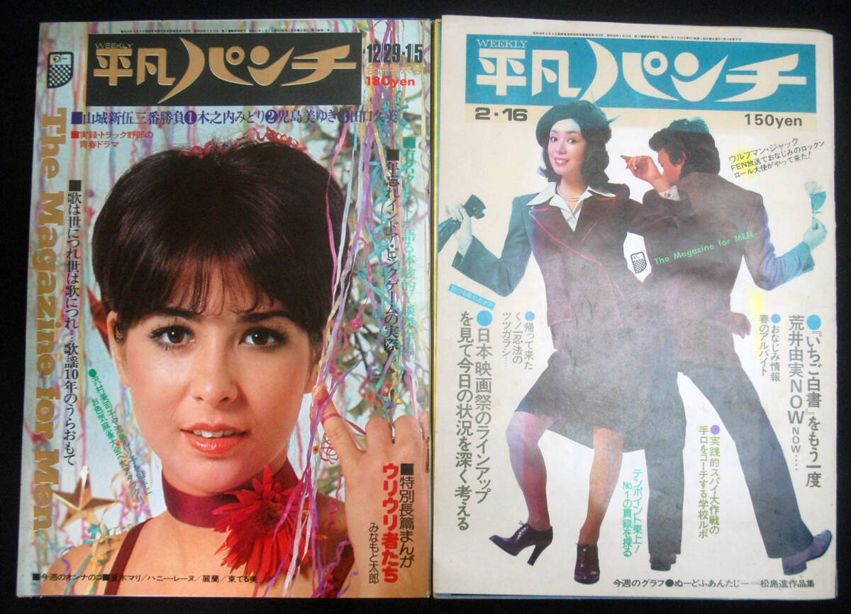 傷や汚れあり】ハニー・レイヌ ポスター パネル ELLE ハニー・レーヌ