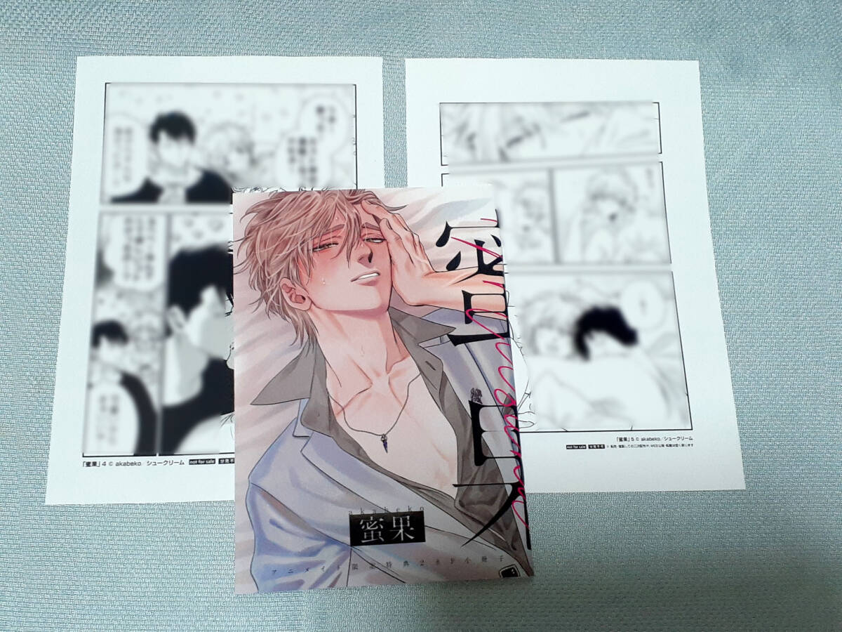 BL特典両面カード アニメイト／少年の境界 2巻／akabekoの落札情報詳細