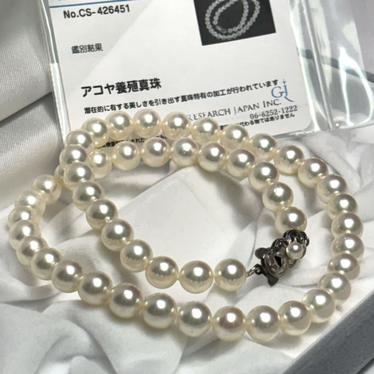 C3全てを魅了する蒼さを見せる藍底過背金龍!!水金アクアゴールド±34cm 