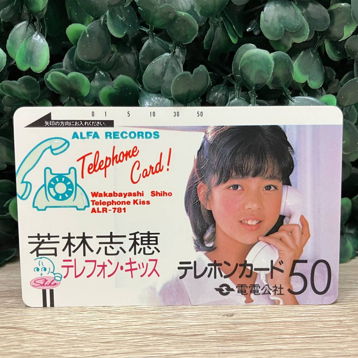 新品】刑事貴族松方弘樹舘ひろし地井武男デカキゾク懐かしすぎかわい