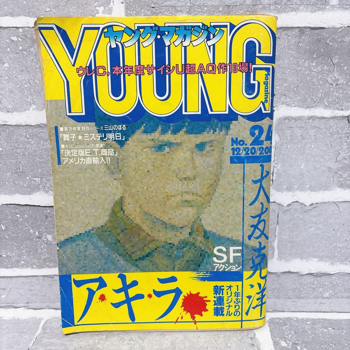 82 プロ野球選手名鑑』恒文社 球団史 記録集 住所録 1982年 昭和57年