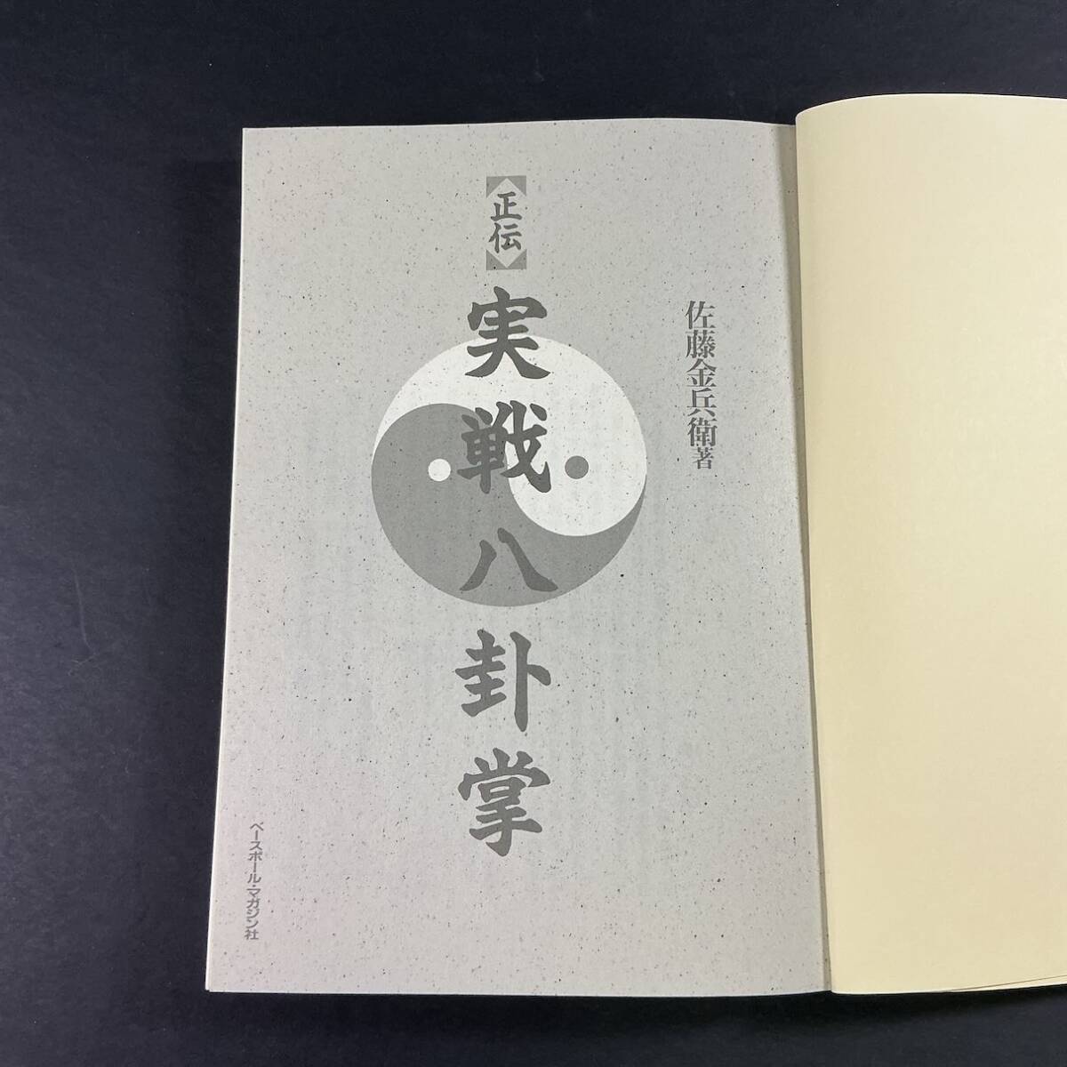 キズなど無く 良好】八卦遊身掌 王樹金著 八卦掌中国武術功夫 の落札