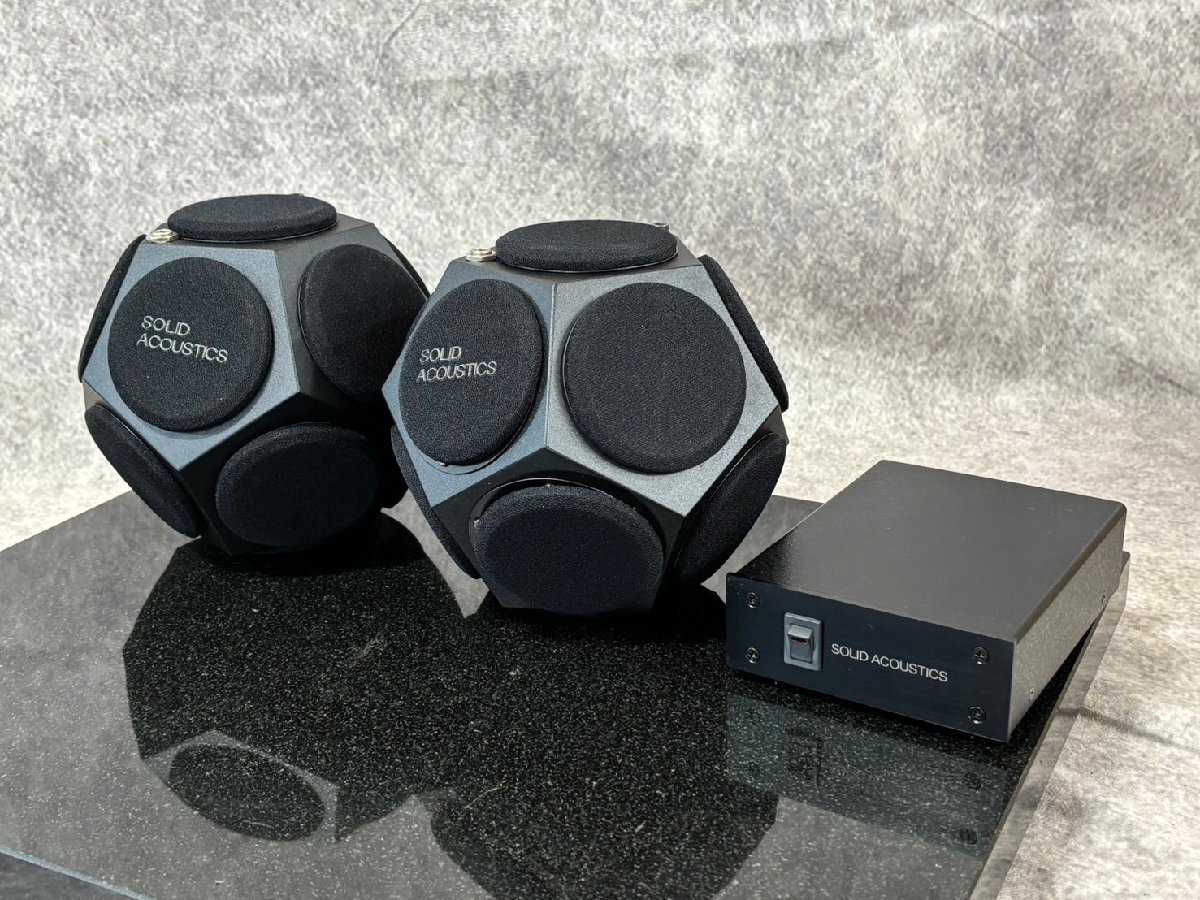 希少レア Solid Acoustics】ソリッドアコースティックス 無指向性 12