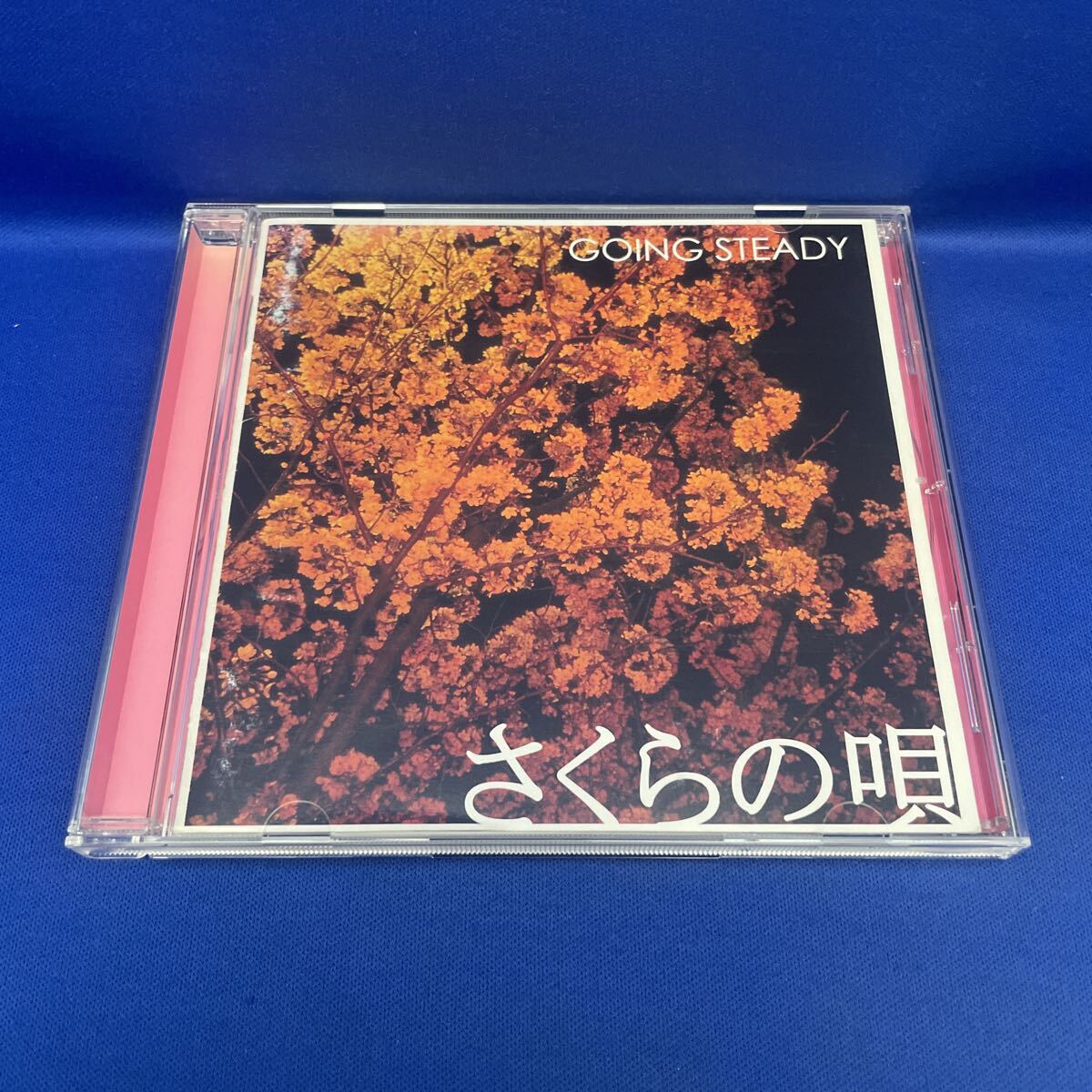 ゴーイングステディ 君と僕とBEEのBEAT戦争 2003 Tシャツ Mサイズ