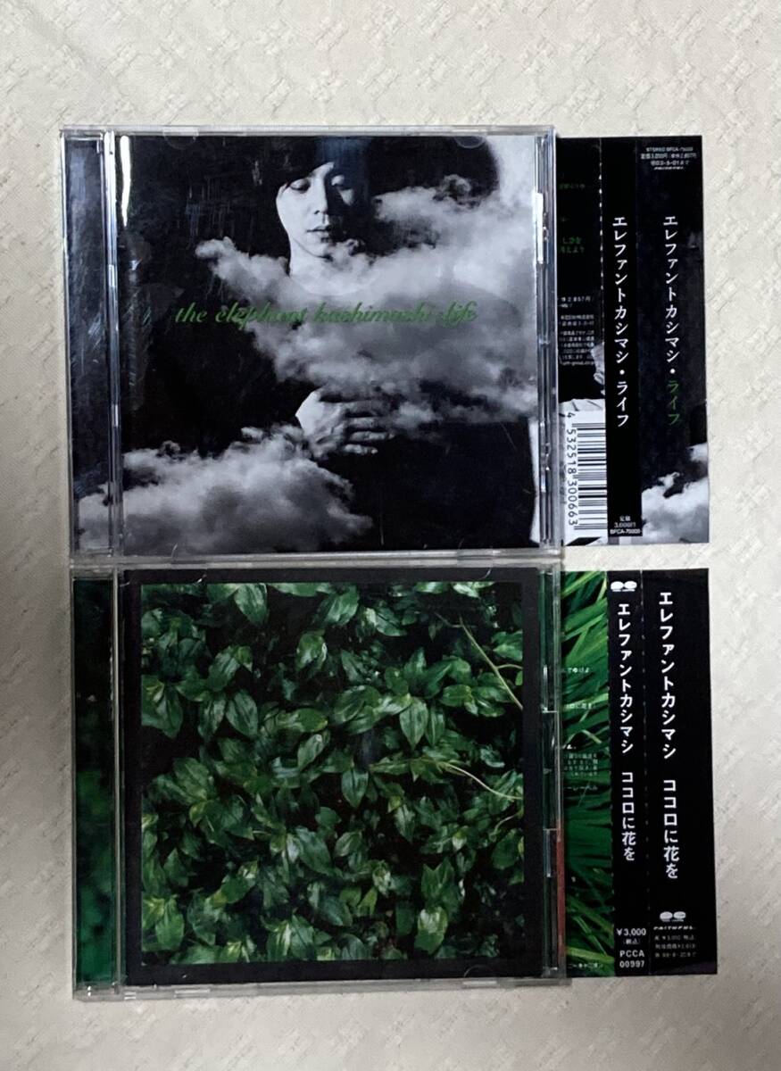 JAPAN 1996年□エレファントカシマシ 宮本浩次／インタビュー10ページ