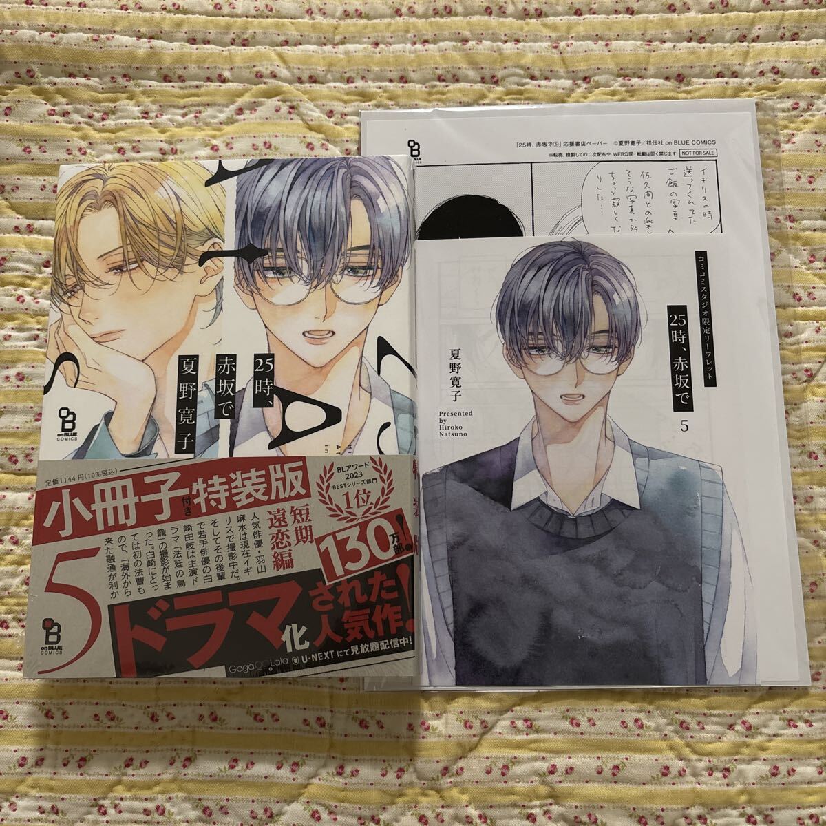 未使用】BL＊未開封 小冊子特装版+リーフレット+P付き【憐れなβは恋を