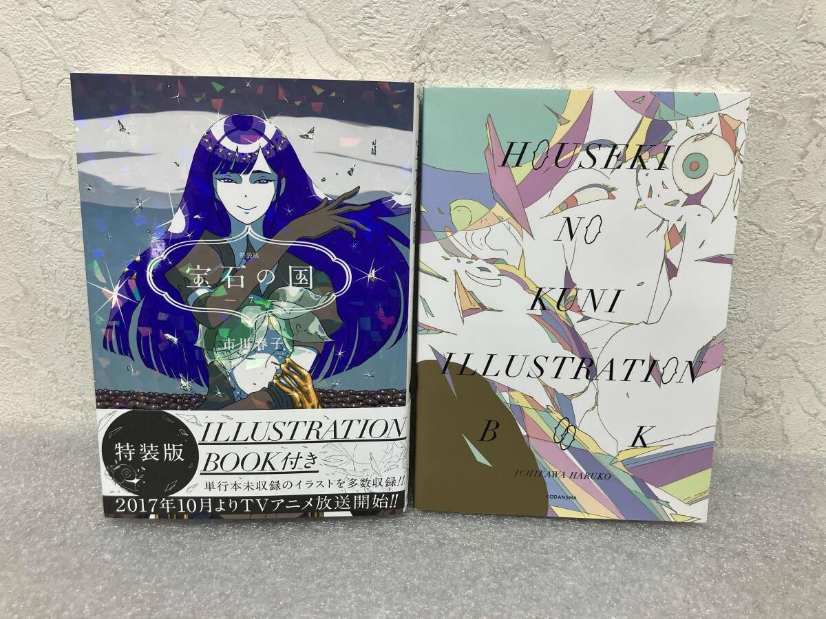 愛の仮晶 市川春子イラストレーションブック（宝石の国 画集） の落札