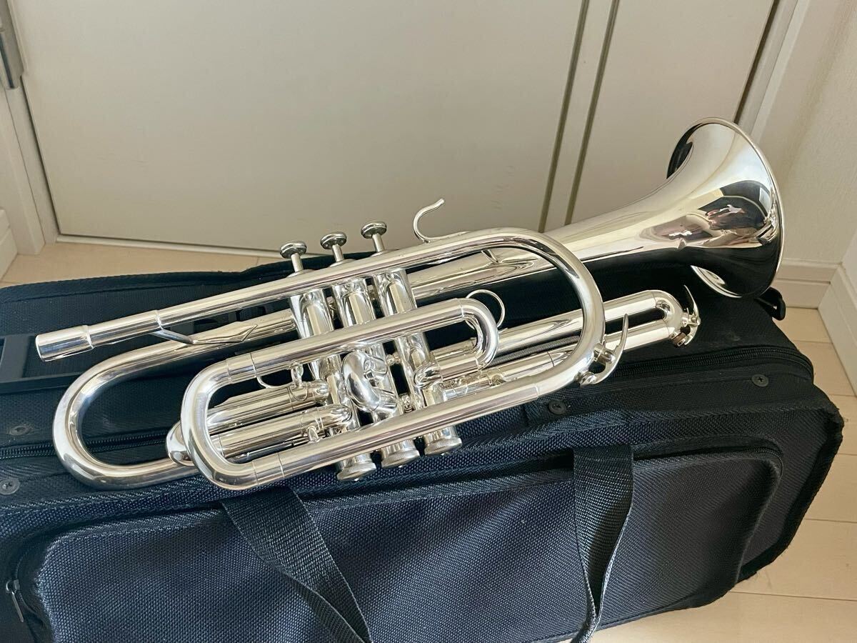 ダイナスティ G管ソプラノビューグル 中古】ダイナスティG管 ソプラノビューグルの落札情報詳細 - Yahoo