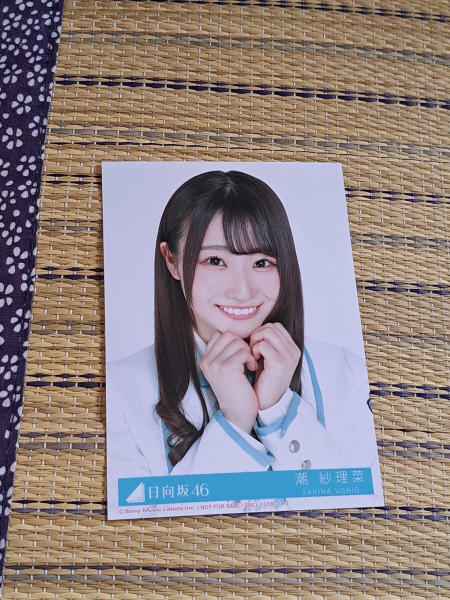 新品】日向坂46 濱岸ひより 2nd ドレミソラシド 初回限定盤 CD 封入