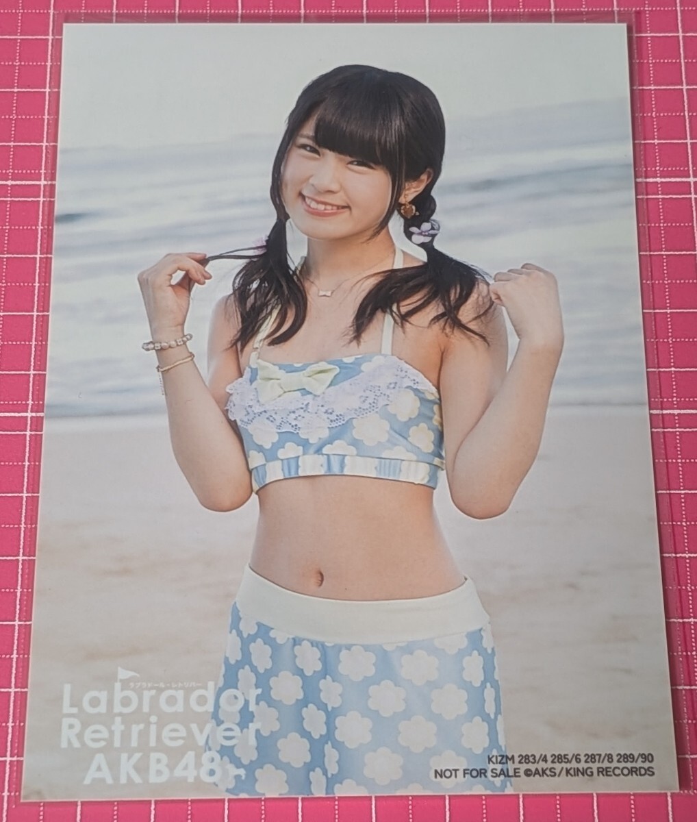 目立った傷や汚れなし】渡辺麻友 AKB48 ラブラドール・レトリバー 通常