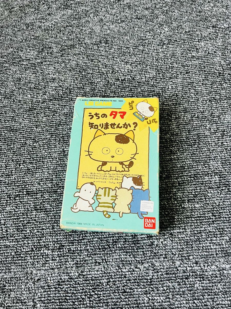 傷や汚れあり】20 こっちむいてタマ！ うちのタマ知りませんか