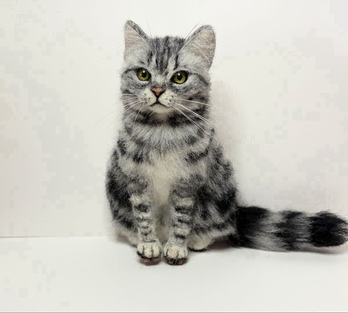 新品】funwari□□□ 羊毛フェルト 赤ちゃん猫 アメリカンショートヘア