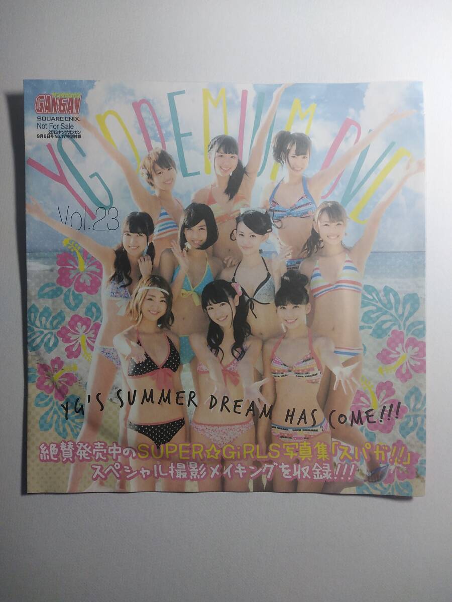 ヤングガンガン 2013年7号※星名美津紀グラビア※市川美織 藤原令子 松井玲奈 ヤングガンガン 2013年No.7 星名美津紀 藤原令子 松井玲奈 篠崎愛 渡辺