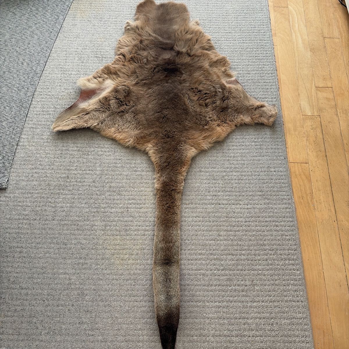 オーストラリア カンガルー 毛皮 ラグマット 約136x85cm 天然 毛皮 革