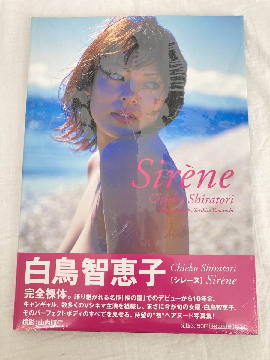 グンゼ産業 17世紀のフランス海軍戦列艦 シレーヌ 帆船 軍用船