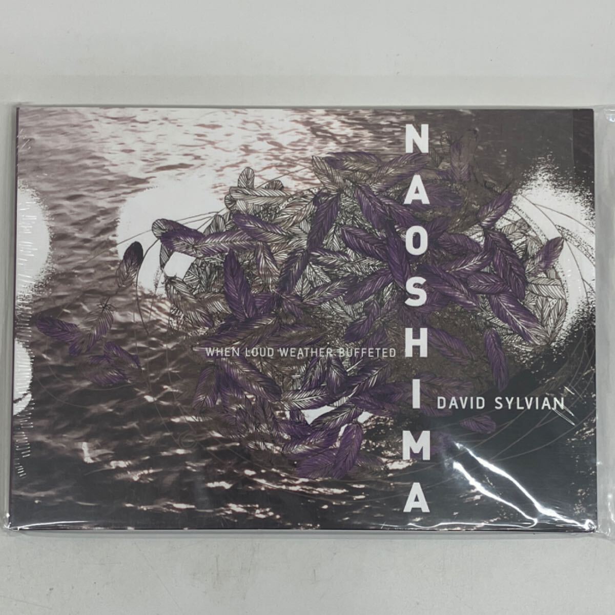 新品】DAVID SYLVIAN Photographs Like Planets Yuka Fujii 新品】DAVID SYLVIAN Photographs Like Planets Yuka Fujii