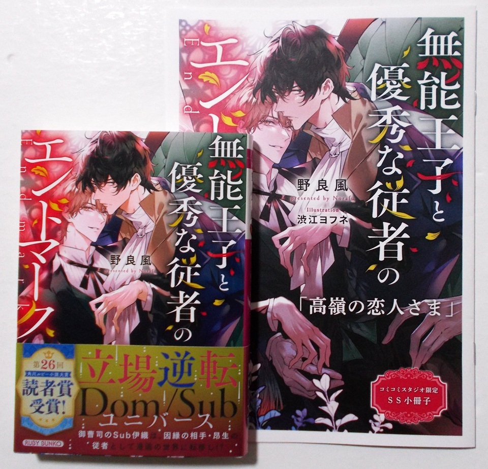 やや傷や汚れあり】BL小説☆崎谷はるひ☆30冊セット☆幻冬舎ルチル文庫