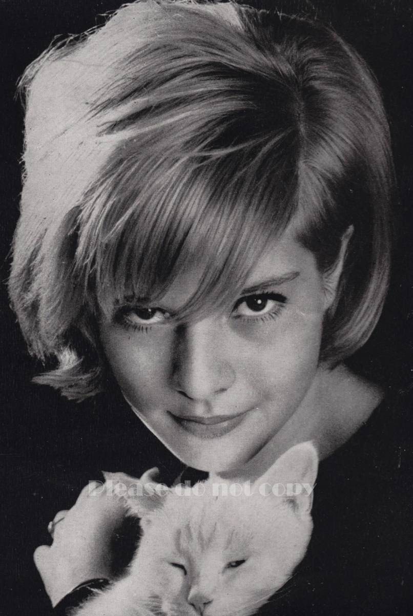 新品 1964年 La Plus Belle Pour Aller Danser 邦題 アイドルを探せ シルヴィ ヴァルタン Sylvie Vartan フォト 3枚付き の落札情報詳細 ヤフオク落札価格情報 オークフリー スマートフォン版