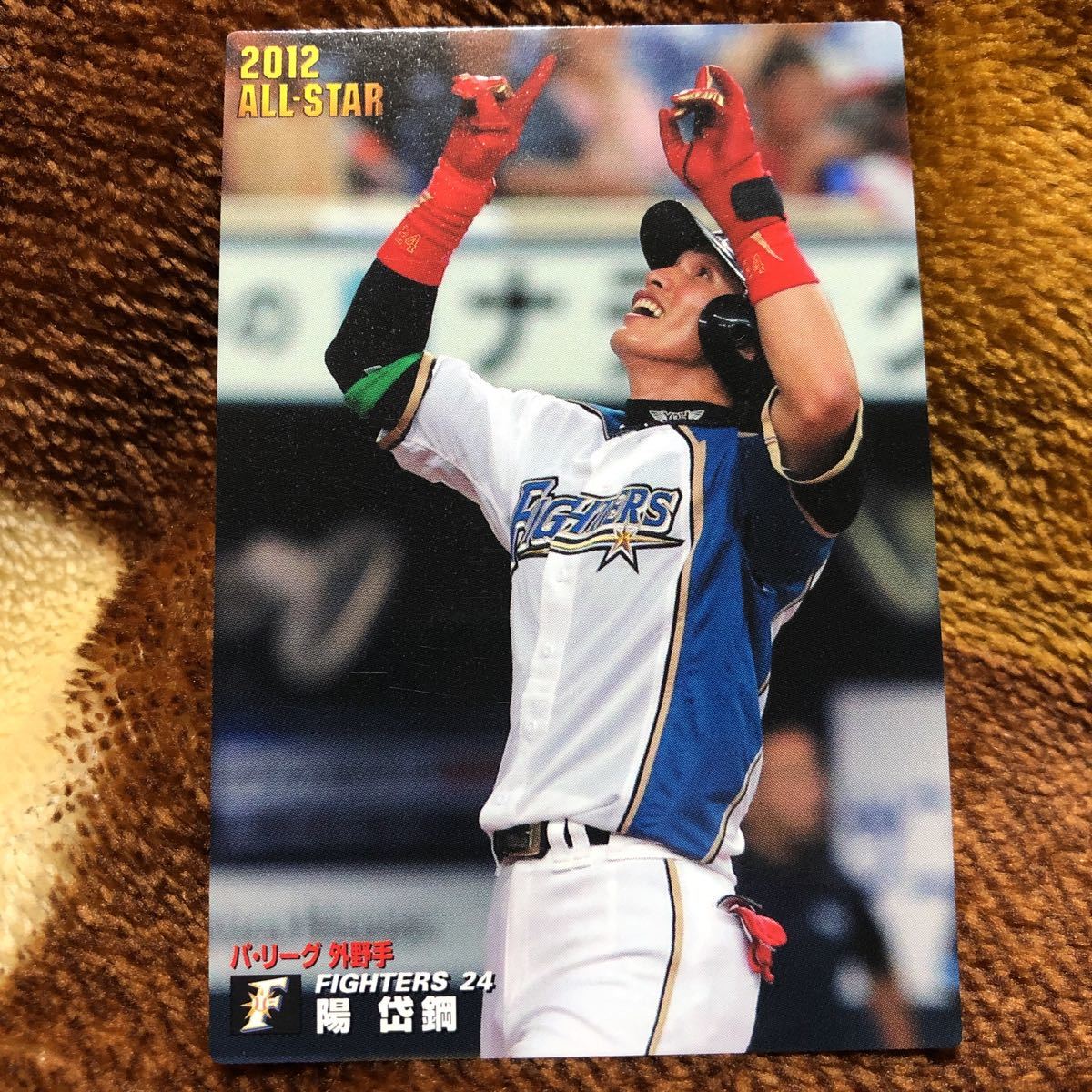 カルビー 2012 プロ野球チップス トレーディングカード AS-11