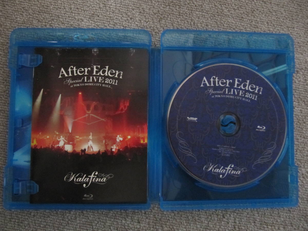 日本産 At 11 Live Special Eden After Tokyo Dvd 中古品 Hall City Dome その他 Afols Pl