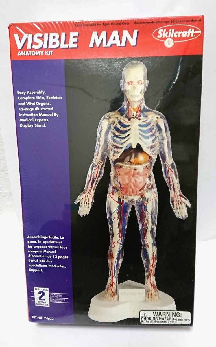 新品 処分 未開封 Skilcraft Visible Man 組立式 プラモデル 透明 人間 ビジブルマン スキルクラフト 内臓 骨格標本 1円 アメリカ製 の落札情報詳細 ヤフオク落札価格情報 オークフリー スマートフォン版