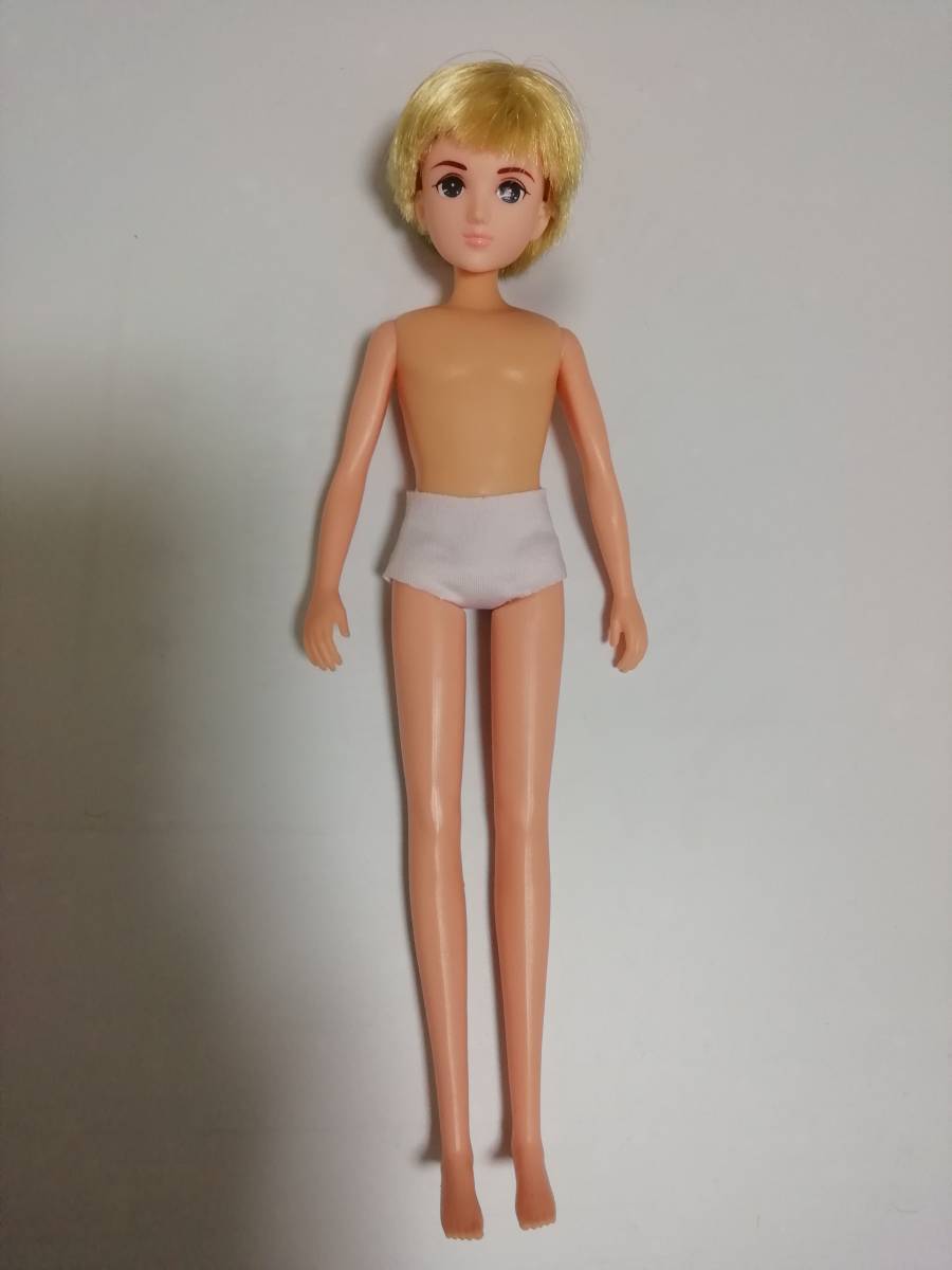 ゆめみるお姫さま おうじさまハルトくん