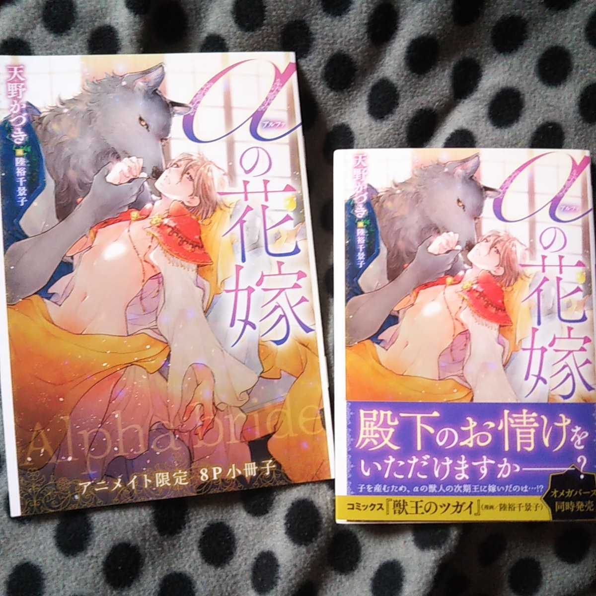 天野かづき 陸裕千景子 6月新刊ルビー Aの花嫁 アニメイト特典 の落札情報詳細 ヤフオク落札価格情報 オークフリー スマートフォン版