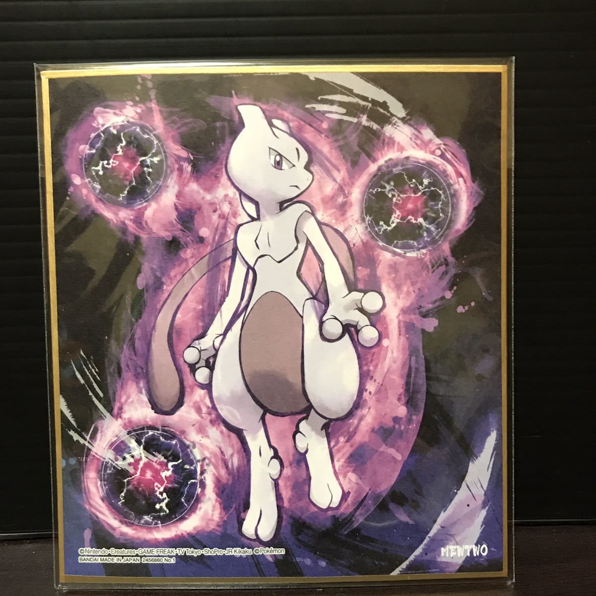 ポケモン イラストサイン色紙 ミュウツー ピカチュウ Www Optimalplus Com
