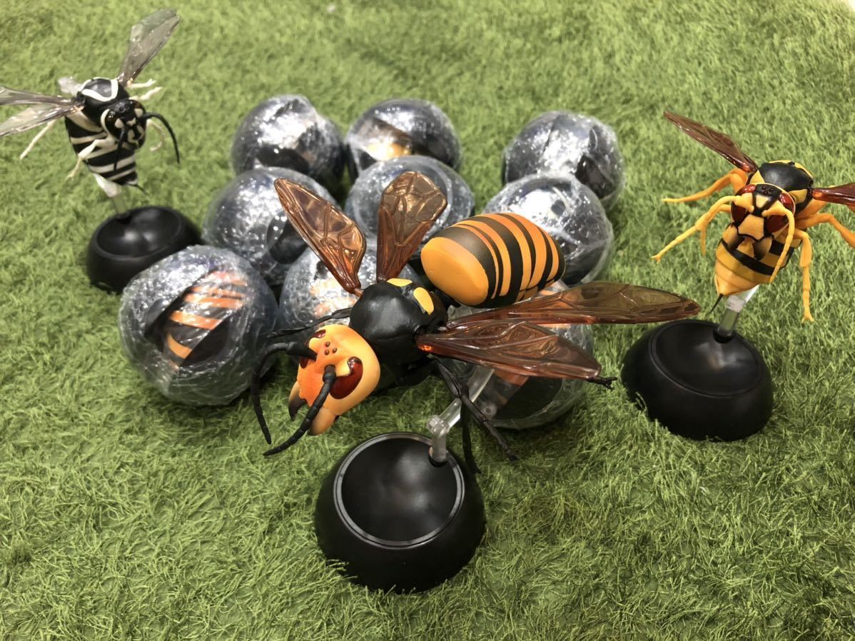 81 以上節約 すずめばち 02 3 チャイロスズメバチ バンダイ ガチャポン ガチャガチャ ガシャポン Dprd Jatimprov Go Id