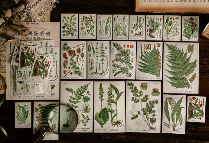 新品 新品 大きめ 60枚 蕨物密 羊歯植物図鑑 フレークシール ジャンクジャーナル Diy海外輸入 の落札情報詳細 ヤフオク落札価格情報 オークフリー スマートフォン版