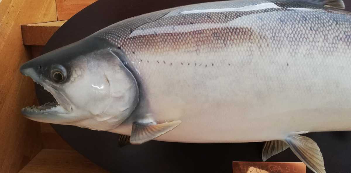 DESIMONE デシモーネ 花瓶 イタリア シチリア 魚 釣り DESIMONE