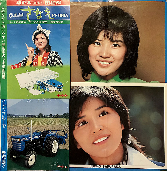 桜田淳子　大型木製パネル 桜田淳子 大型木製パネル ゆれる桜田淳子とサインとカタログ