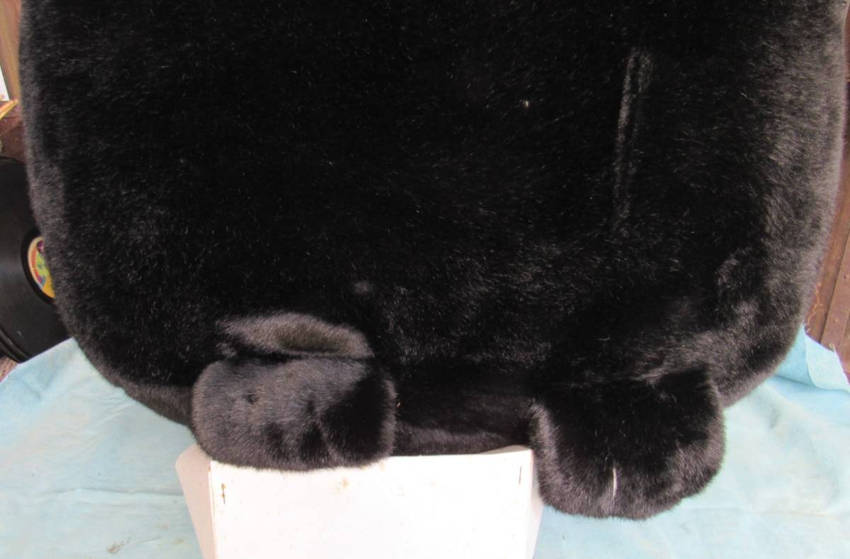 ブランド猫、SILVIA&SILVESTER,シルビア＆シルベスター、超特大猫の