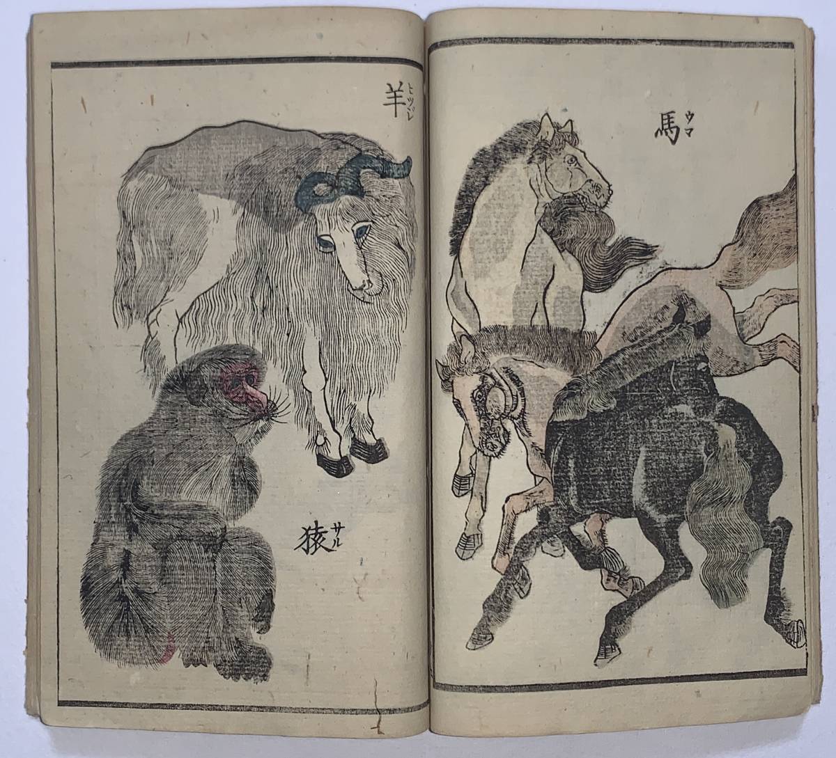 hana_desu15 貴重 歌川貞秀画【万象写真図譜】江戸時代 木版画 本物