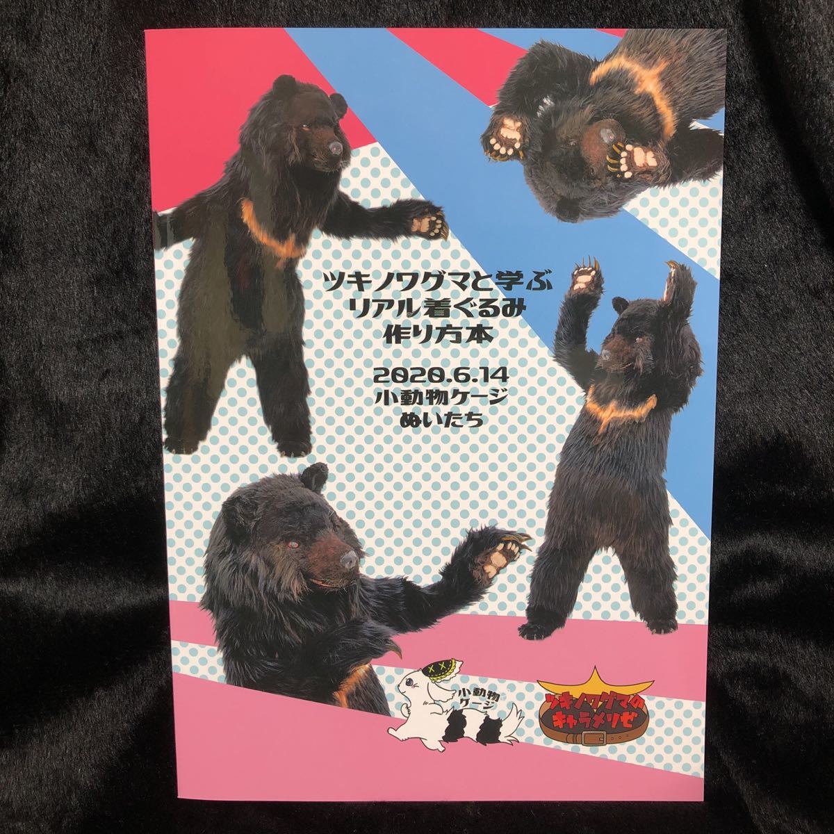 新品 リアル着ぐるみ作り方本 着ぐるみ制作本 おまけぺーパー キャラメリゼ名刺付き の落札情報詳細 ヤフオク落札価格情報 オークフリー スマートフォン版