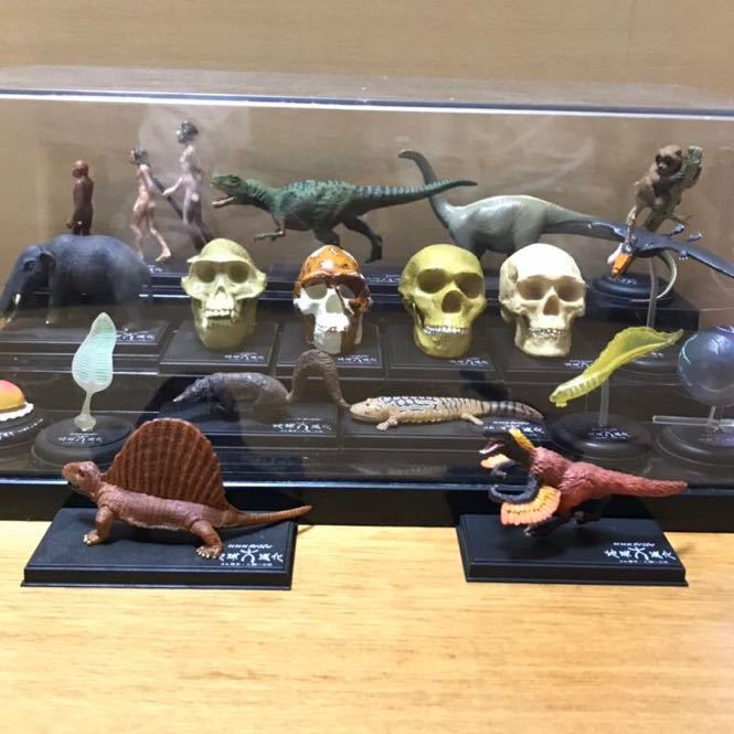 原色地球大進化図鑑 地球大進化 Nhkスペシャルsecret 猿人 原人 新人 フルコンプ の落札情報詳細 ヤフオク落札価格情報 オークフリー スマートフォン版