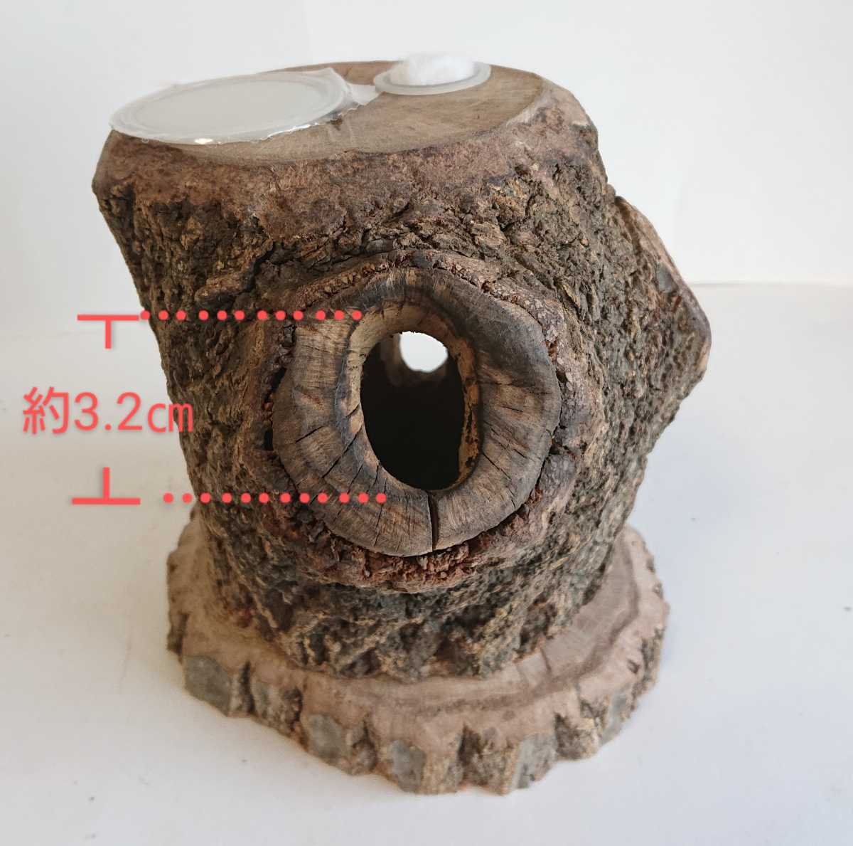 新品 昆虫 クワガタ カブトムシ 天然木隠れ家 のぼり木 エサ皿 99 の落札情報詳細 ヤフオク落札価格情報 オークフリー スマートフォン版