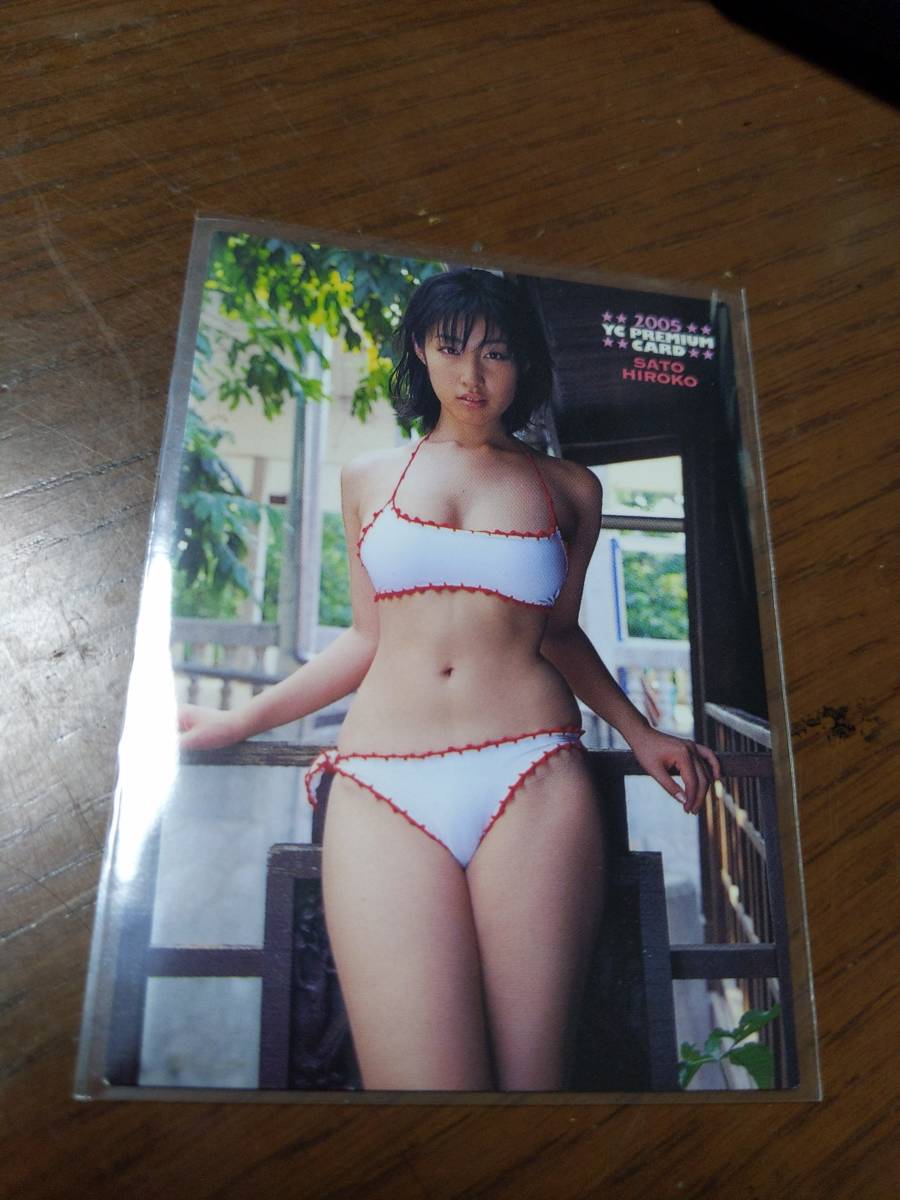 佐藤寛子 工藤里紗 グラビア切抜き 週刊ヤングサンデー 2005年 No.984 2025年最新】Yahoo!オークション -ヤングサンデー 佐藤寛子