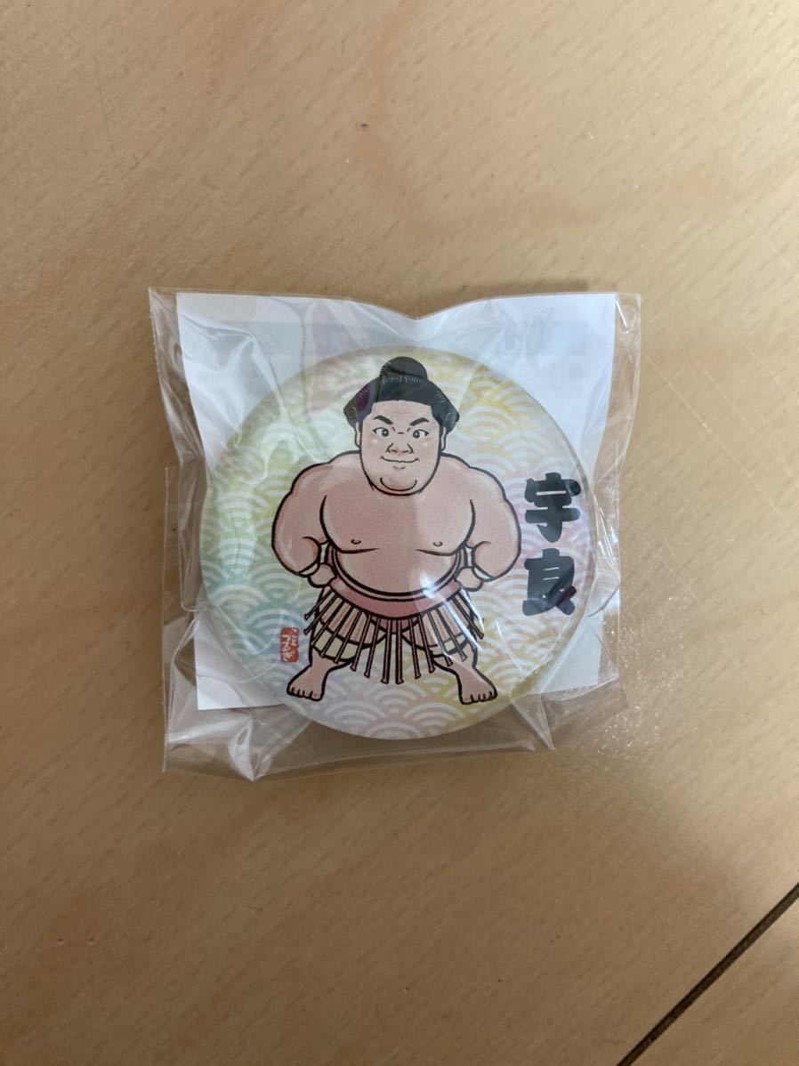 新品 新品 宇良 マグネット 美品 レア 未開封 未使用 木瀬部屋 両国国技館 限定 大相撲 の落札情報詳細 ヤフオク落札価格情報 オークフリー スマートフォン版