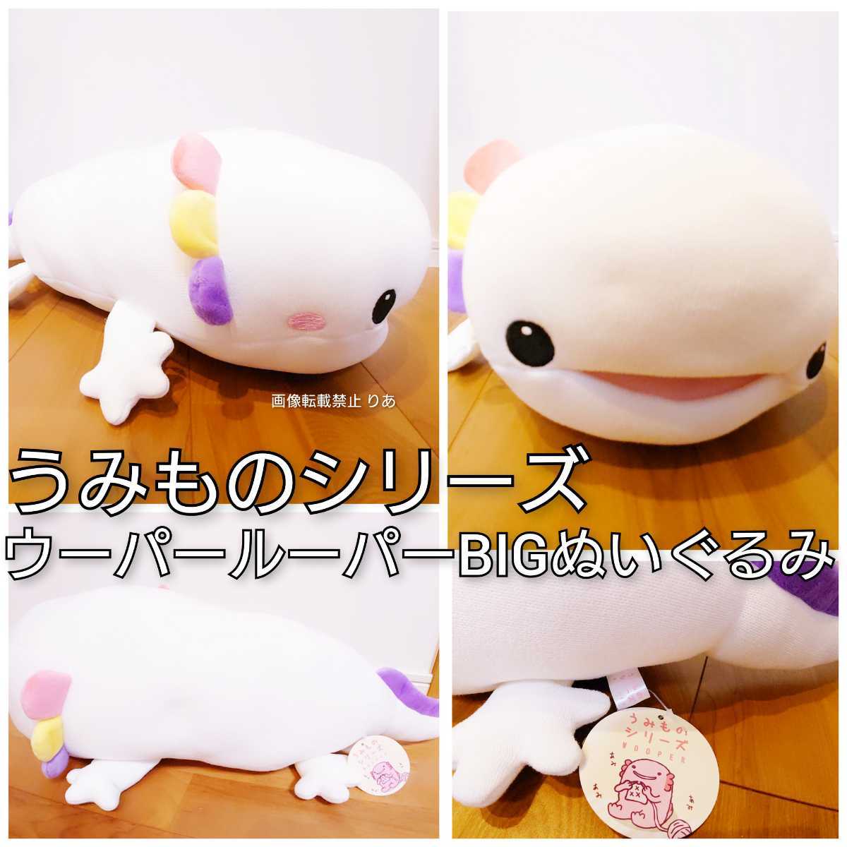 新品 送料込み 編み物海のいきものコラボ うみものシリーズ ウーパールーパーbigぬいぐるみ 特大 寝そべり アミューズメント プライズ の落札情報詳細 ヤフオク落札価格情報 オークフリー スマートフォン版 新品 送料込み 編み物海のいきものコラボ うみものシリーズ ウーパールーパーbigぬいぐるみ 特大 寝そべり アミューズメント プライズ の落札情報詳細 ヤフオク落札価格情報 オークフリー スマートフォン版